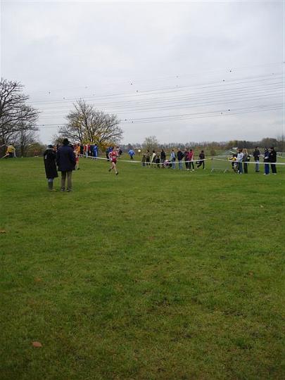 cross de massy 2008 017.jpg